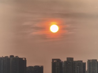 1000026238