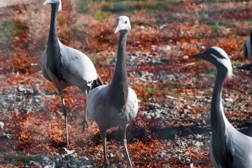 IMG_8396-3.jpg