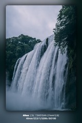 1000044168