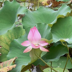 001