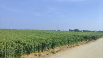 1000042101