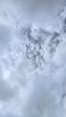 1000044629
