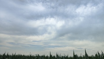 1000044627