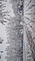 453123