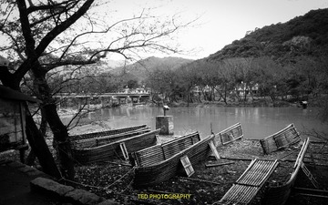 IMG_7650.jpg