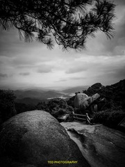 IMG_7766-1.jpg
