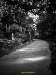 IMG_7882-1.jpg