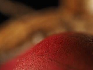 8744