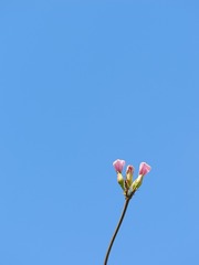 12601