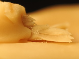 8751