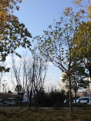 B486CBD8-AE93-447C-8786-2F89640AFE24/L0/001