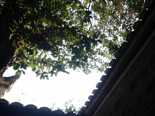 715078DB-7FC8-4074-ACA0-8702356ABEE3/L0/001