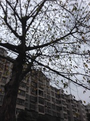 50BD07D5-1F08-493D-8EFD-BD71725D96DA/L0/001