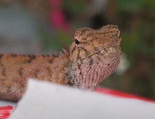 IMG_0841.JPG