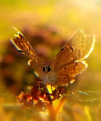 沐浴阳光