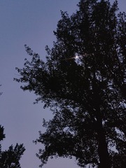 1000042846