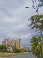 11447451