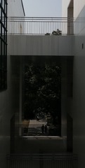 1000001071