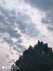 1000000282