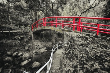 犹如红驹