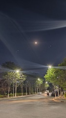 1000062826