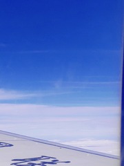 1000050771