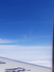 1000044363