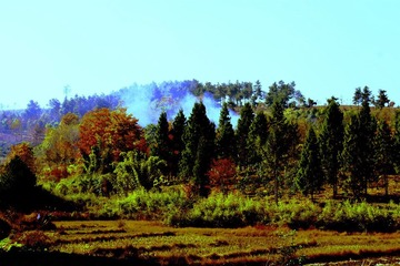 DSC05832.JPG