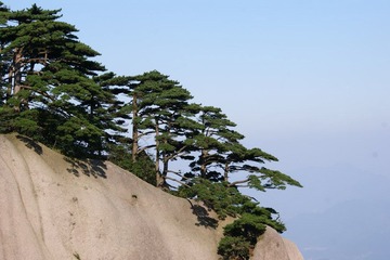 DSC04197.JPG