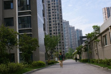DSC07507.JPG