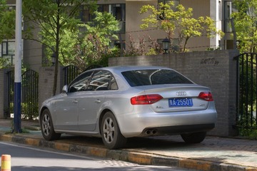 DSC07976.JPG