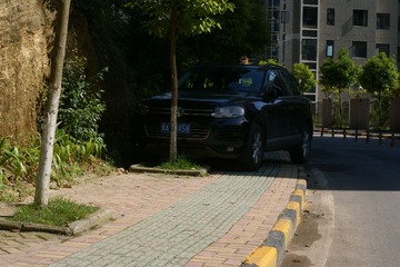 DSC07982.JPG
