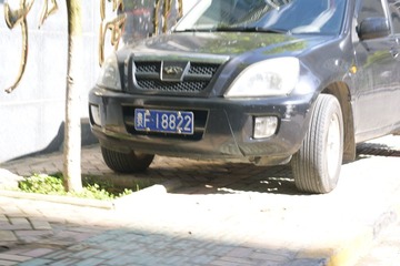 DSC07986.JPG