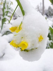 20131216_090831
