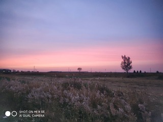 13015