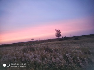 13016