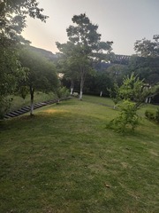 1000035374