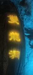 1000025614