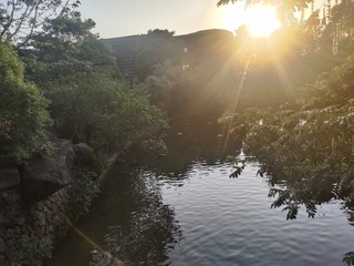 1000035373