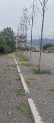 1000026633