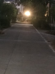 1000031716