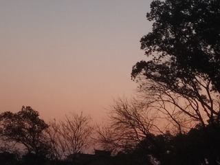 1000031711
