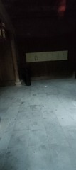 1000030218