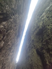 1000032294