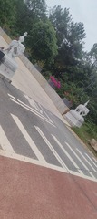 1000026631