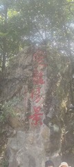 1000025588