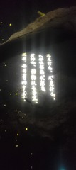 1000025655