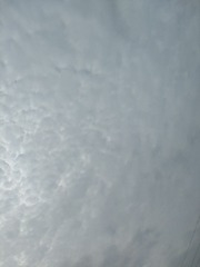 1000032448