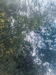 1000032286