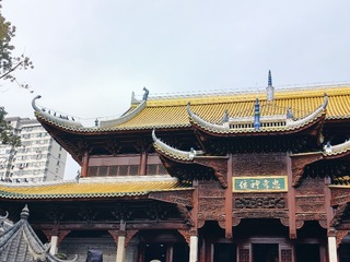 IMG20240213124810